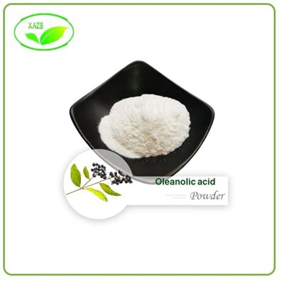 Oleanolic Acid Powder Oleanolic Acid Powder